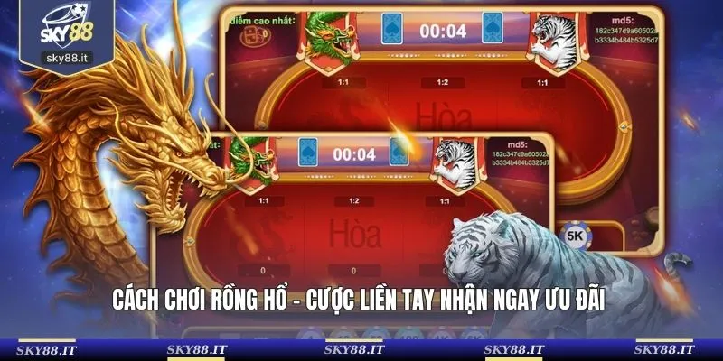 Cách chơi rồng hổ