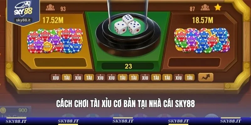 Cách chơi tài xỉu cơ bản tại nhà cái SKY88