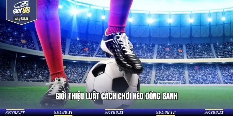 Giới thiệu luật cách chơi kèo đồng banh