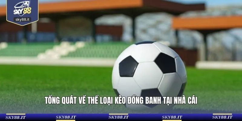 Tổng quát về thể loại kèo đồng banh tại nhà cái